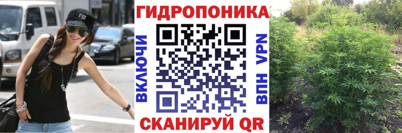 ссылка на мегу   Заволжск  Шишки марихуана ГИДРОПОН 